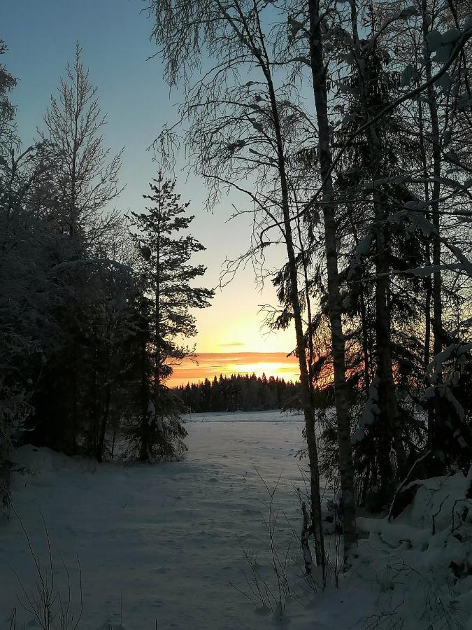 Arctic Circle Home Rovaniemi Dış mekan fotoğraf